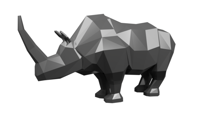 Geometric Rhinoceros