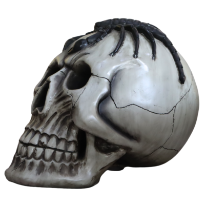 Scorpion Skull