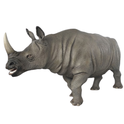 Wild Rhino
