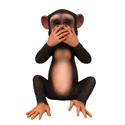 Quiet Monkey