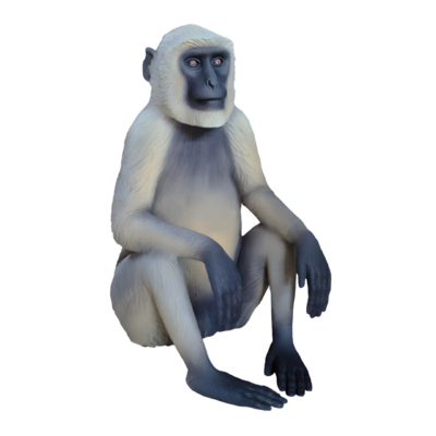 White Monkey