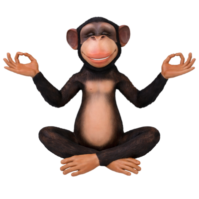 Meditating Monkey