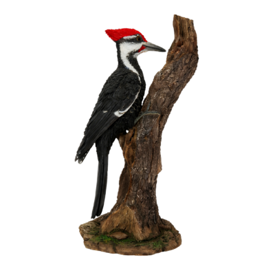 Woodpecker