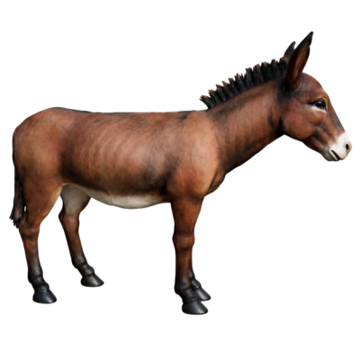 Donkey