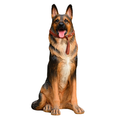 German Shepherd Dog