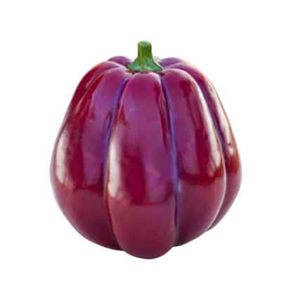 Bell Pepper 1