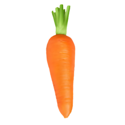 Carrot