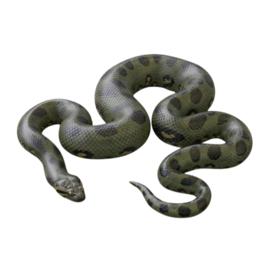 Snake