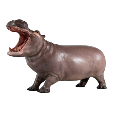 Hippo 2