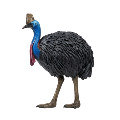 Cassowary