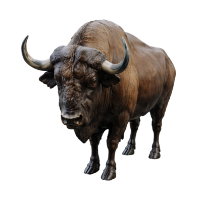 Buffalo