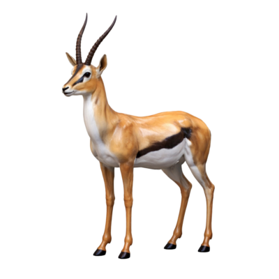 Gazelle
