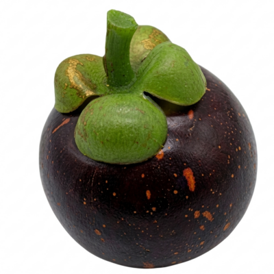 Mangosteen