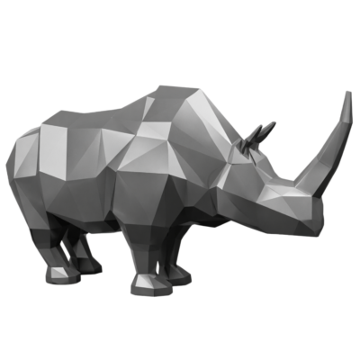 Geometric Rhino