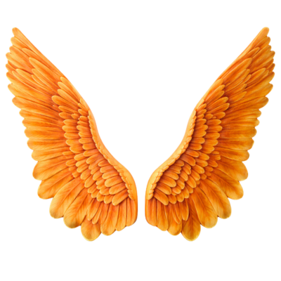 Wings
