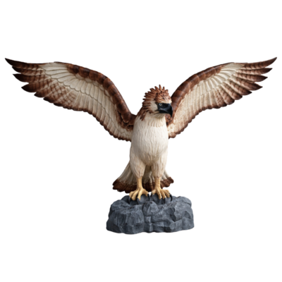 Philippine Eagle
