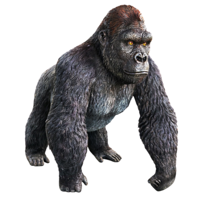 Gorilla