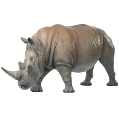 Savanna Giant Rhino