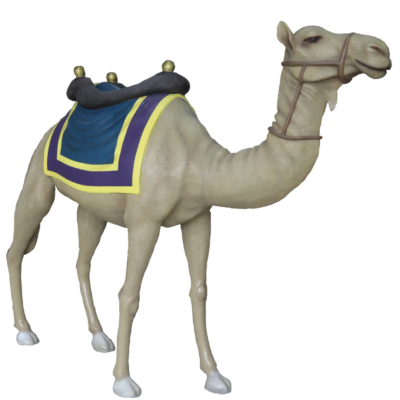 Standing Camel