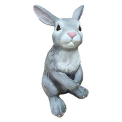 Rabbit 1