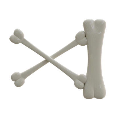 Bone Fence