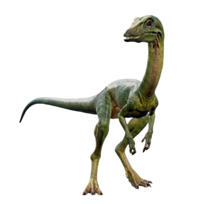 Raptor Dino