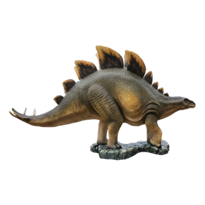 Stegosaurus 1
