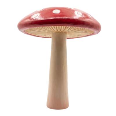 Giant Mushroom with Waterline