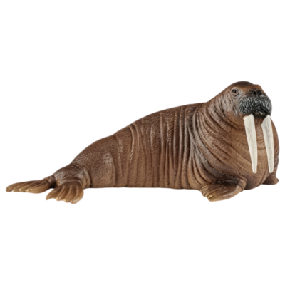 Seal