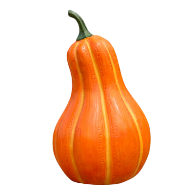 Orange Pumpkin