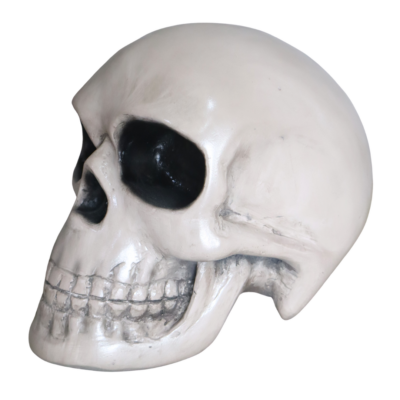 White Skull