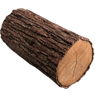 Bark Texture Log
