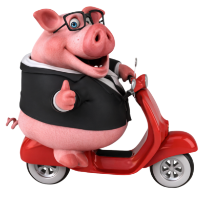 Scooter Pig